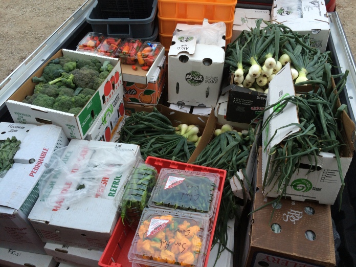 HH farm delivery this morning 10/13/2015